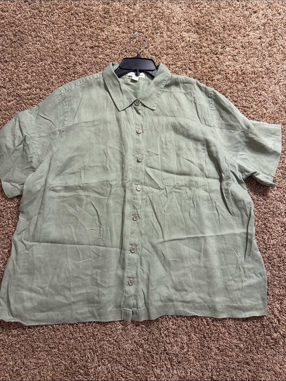 Coldwater Creek Light Sage Green Short Sleeve Button-Front Shirt